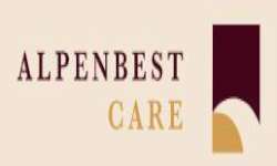Domestic Services