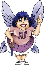 Directory image