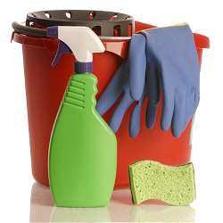 Cleaning Plus - 1 hour session