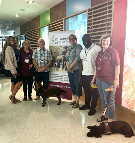 Hearing Dogs for Deaf people visit with the residents photo 1