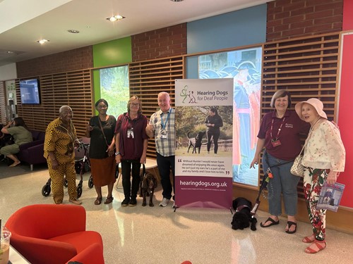 Hearing Dogs for Deaf people visit with the residents photo 2